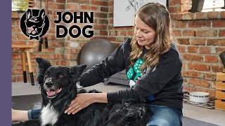 Rozluźniający masaż psa po treningu/bieganiu/zabawie/spacerze  ZDROWIE PSA  John Dog