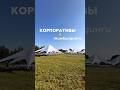 Работаем по всей Беларуси #тимбилдинг #корпоротив #беларусь2025 #турслет