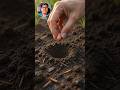 How to Create Plant Growing Video #ai #shorts