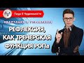 Отчётность агентов | Рефлексия | Обучение риэлторов | Вадим Орехов