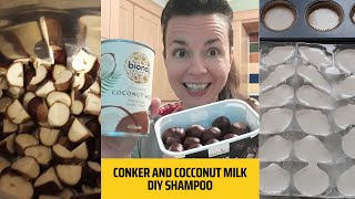 Conker and Coconut Milk Shampoo (Horse Chestnut) by Wild Food and Happy Soul 23 views 6 months ago 5 minutes, 36 seconds