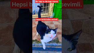 Güzelliğin Yuvası Hayırlı Olsun.🥰I