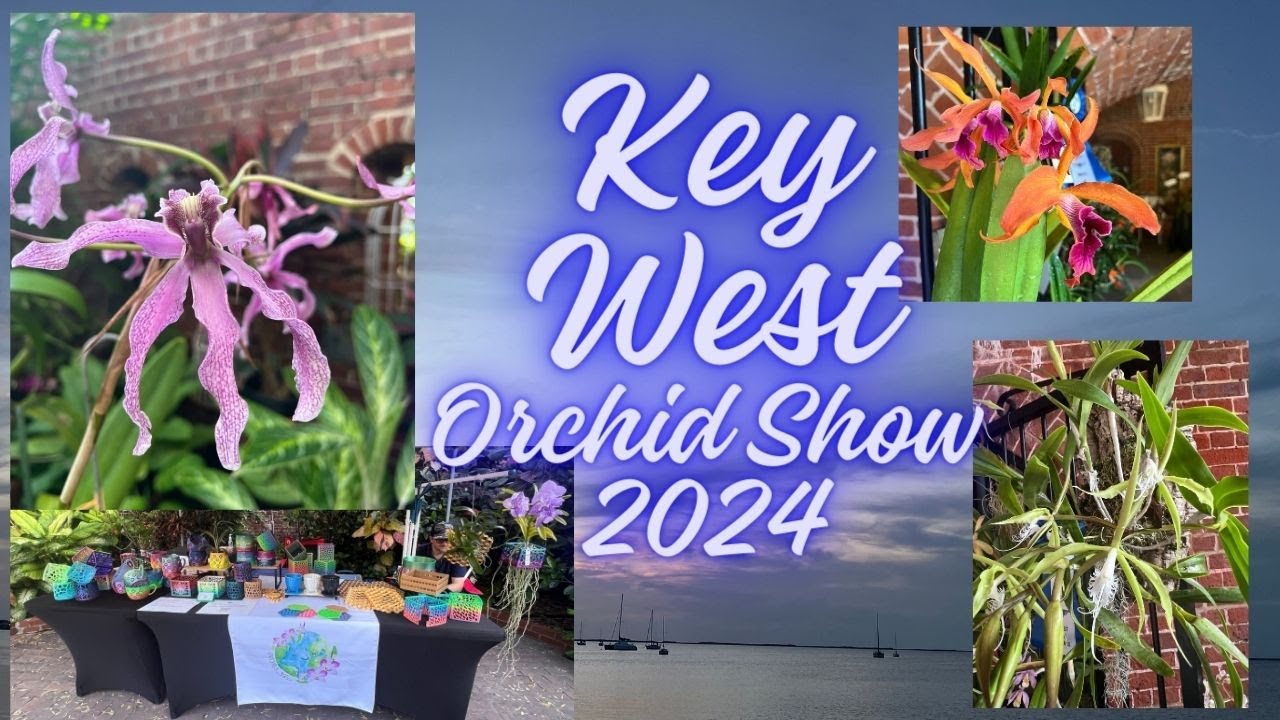 Key West Orchid Society Show 2024