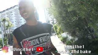 A walk on sunset with Vinci the 1