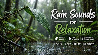 Relaxing Rain in Tropical Forest 🌿 Fall Asleep Fast &amp; Relieve Stress Naturally. Relaxing