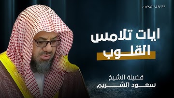 تلاوة مهيبة تخشع لها القلوب – لن تتمالك دموعك مع الشيخ سعود الشريم