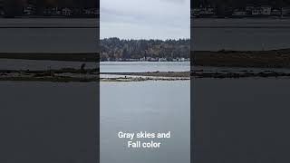 Gray skies, fall colors and rain