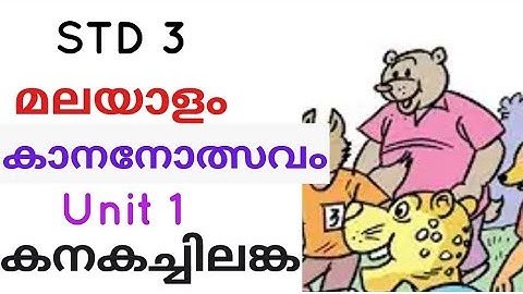 താളവും മേളവും|കാനനോത്സവം | STD 3 | Malayalam | unit 1 കനകച്ചിലങ്ക| പ്രവർത്തനങ്ങൾ | കലോത്സവ വിവരണം