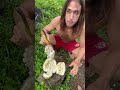 Marang fruit + Camera Man who misses best part of the video