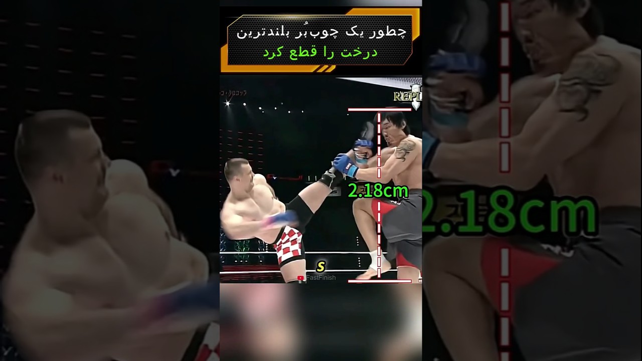 چطور یک چوب‌بُر بلندترین درخت را قطع کرد