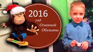 Новогодняя ночь 2016 | Новогодний салют, фейерверк | Маркушка и Катюшка(Спасибо, что смотрите мое видео! Thanks for watching my video! Please - Like, Comment...Subscribe to my channel Ставьте лайки! Подписывайтесь..., 2016-01-04T07:52:16.000Z)