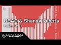 USAO & Shandy Kubota - Hollow Orbit