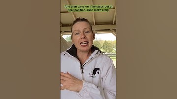 Train your horse to stand quietly with positive reinforcement