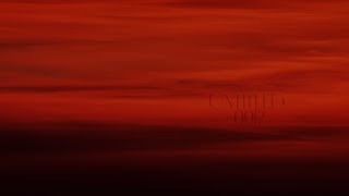 Untitled 0012