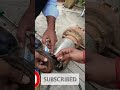 Dewatering pump installation process by krishna sir| motor installation process| #delydays