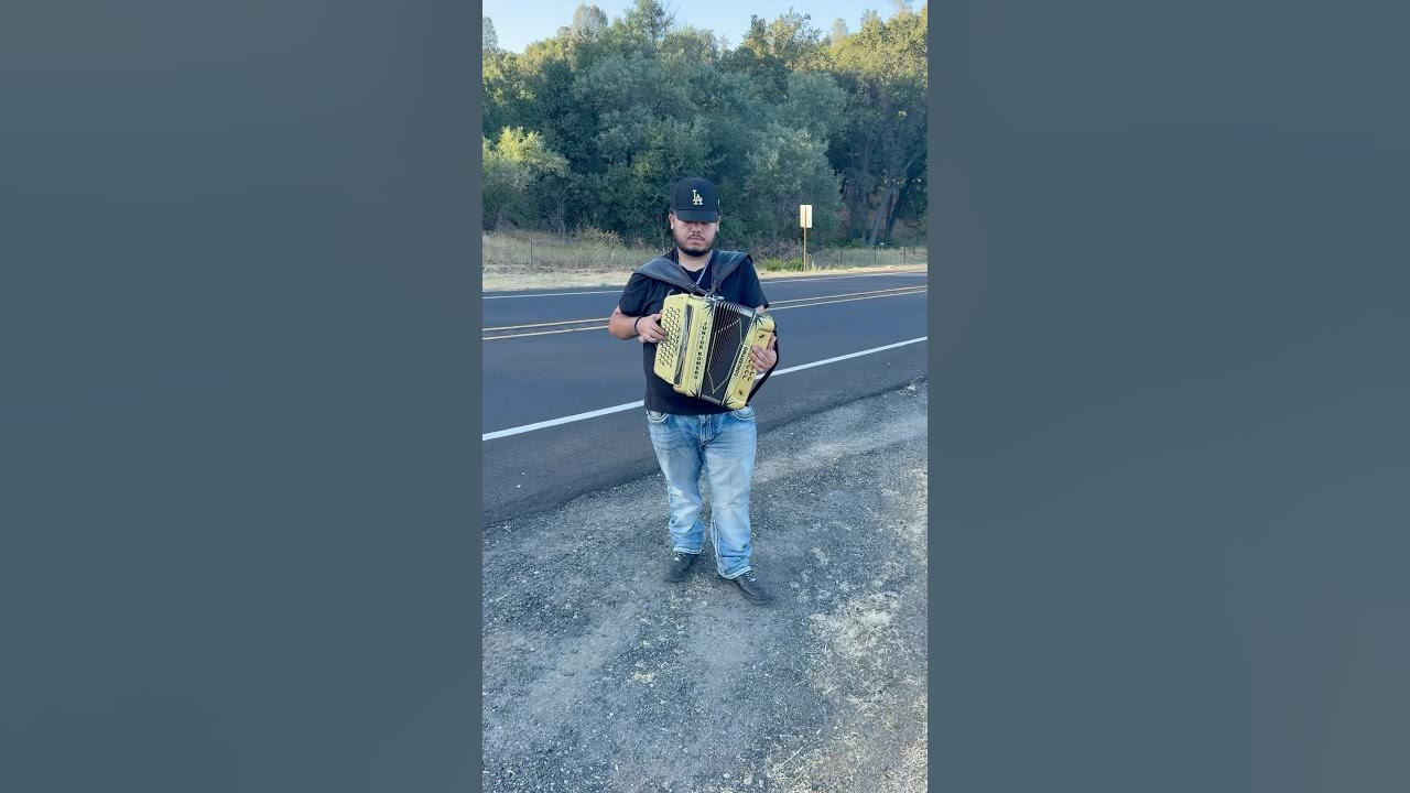 Frequencia - Los Dareyes De La Sierra #fy #parati #eljuniordemodesto #musicamexicana Frequencia - Los Dareyes De La Sierra #fy #parati #eljuniordemodesto #musicamexicana