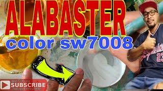 how to mix alabaster color/paano mag timpla ng alabaster color @bossspeedthepainter