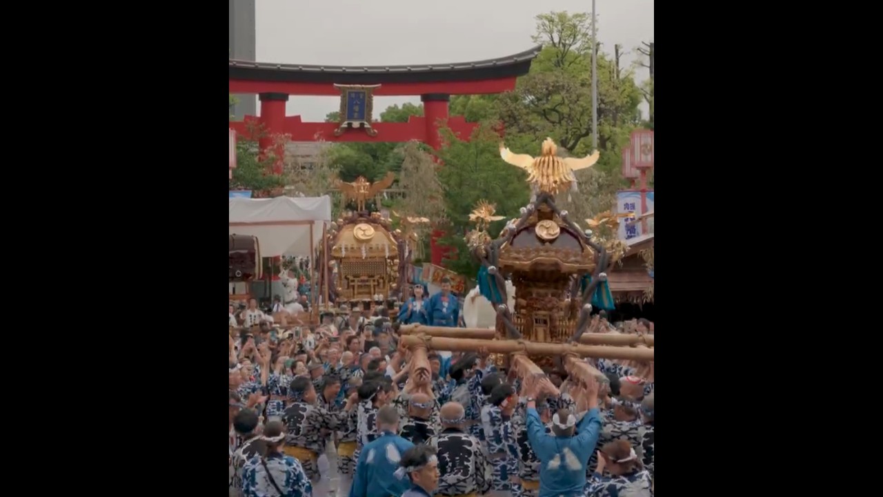 深川八幡祭り(富岡八幡宮例大祭)神輿連合渡御(令和8年8月16日) #shorts