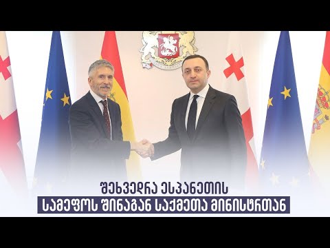 შეხვედრა ესპანეთის სამეფოს შინაგან საქმეთა მინისტრთან