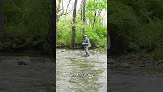 Southeastern PA Wild Brown Trout Fishing