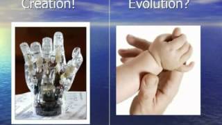 Schöpfung Oder Evolution