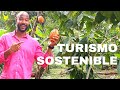 TURISMO SOSTENIBLE Eco turismo en PANAMÁ - Tour de chocolate OREBA