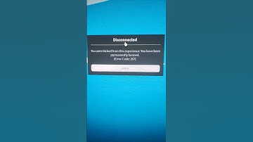 Logging Onto Blox Fruits & Getting Permanently Banned For No Reason