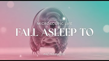 The Most Relaxing Facts About Microscopic Life to Fall Asleep To