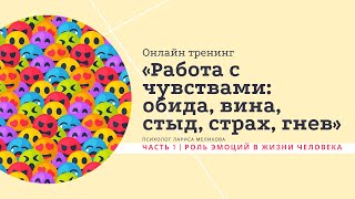 Тренинг «Работа с чувствами» | 1. Роль эмоций в жизни человека