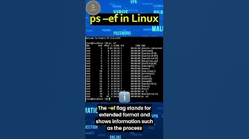 How to find all the Linux processes | #Linux #Unix #shorts