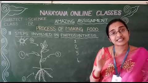 6b  AP & TS CLASS IV SCIENCE ASSIGNMENT VIDEO DAY 6