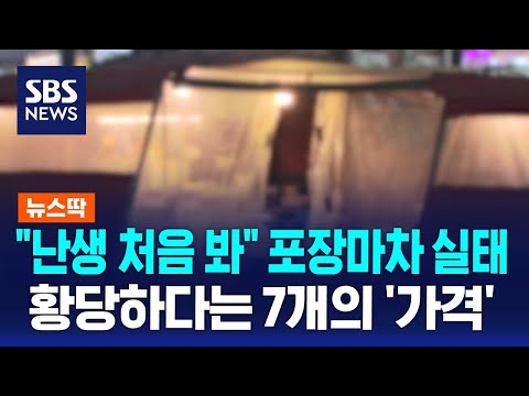   이건 공론화해야 합니다 종로구 포장마차 어떻길래 SBS 뉴스딱