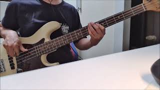 Marshmello x Jonas Brothers - Leave Before You Love Me (bass cover)