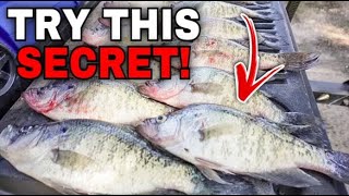 A CRAPPIE Fishing SECRET The 'Pro's' WON’T TELL YOU | Crappie Fishing 2023‼