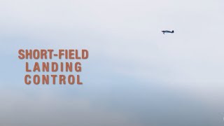 Precision Post-Stall Landing with Fixed-Wing UAVs
