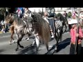 desfile de ecuestre de charros y caballos