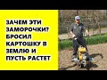 Зачем эти заморочки с посадкой картошки?  Бросил картофель в землю и пусть себе растет.