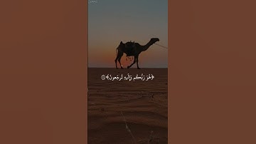 ولاينفعكم نصحى|سورة هود|٣٤-٣٥|تكمله٣|القارئ اسلام صبحي