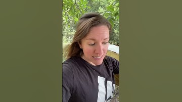 Slide for the treehouse #treehouse #diyprojects #mom #reuserecycle #build