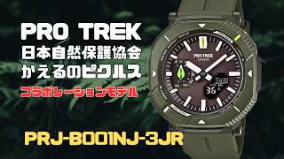 PRJ-B001NJ 3JR [Limited Edition] CASIO PRO TREK x Pickles - So