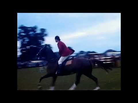 Capa de Adwick Gala 1970? HD copy