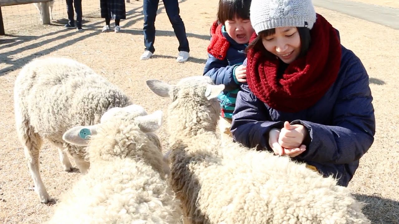 マザー牧場に行ってきた