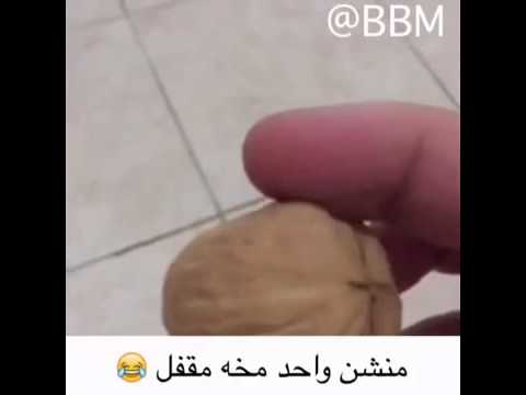 مخه مقفل
