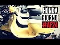 Cкутер Honda Giorno 50 AF24 - Walkaround, Kupiscooter.ru