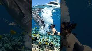 Sudden Attack!🦈Wait for it... 😱 Underwater surprise!""Fishing level: Extreme! 🔥"Aaj toh badi machhli