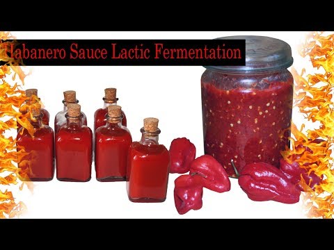 Habanero Hot Sauce | Lactic Fermentation