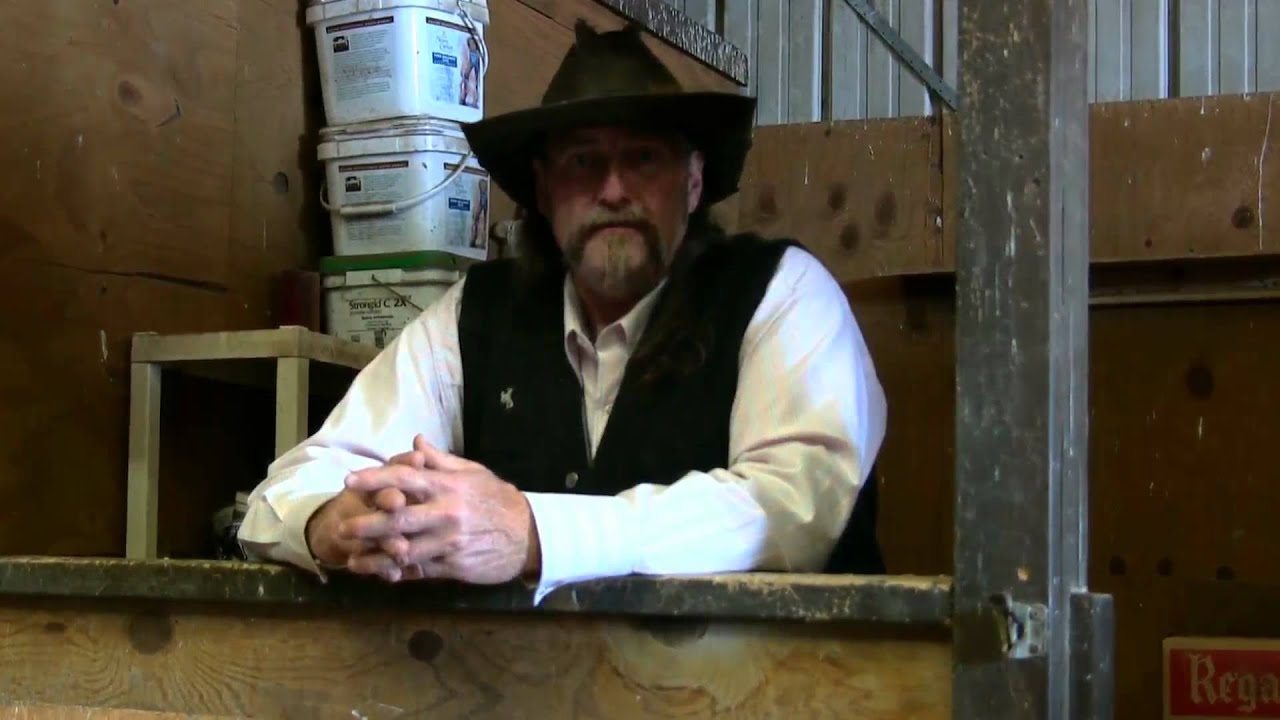 Hydrogen Peroxide and Horses injuries ! videos YouTube