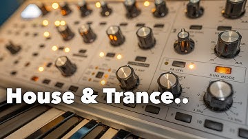 The Magic of Moog Subsequent 37 | Real Life Project Examples