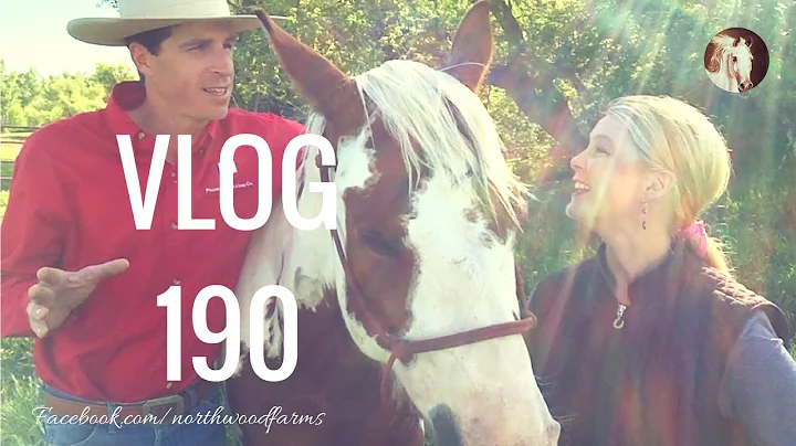 Northwood Farms Horsemanship Vlog 190