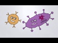 How Our SPEAR T-Cells Work